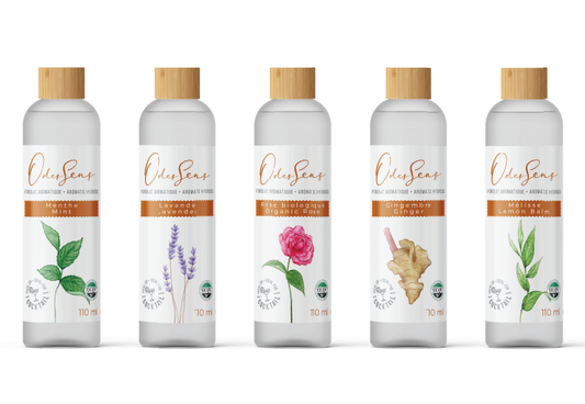 Eaux Aromatique : Gingembre - 110 ml