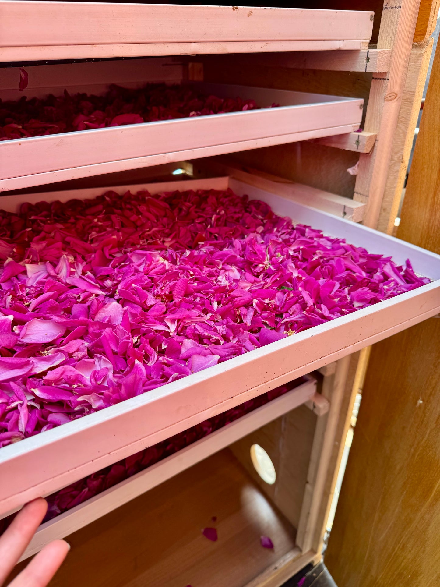 Hydrolat  Aromatique ROSE