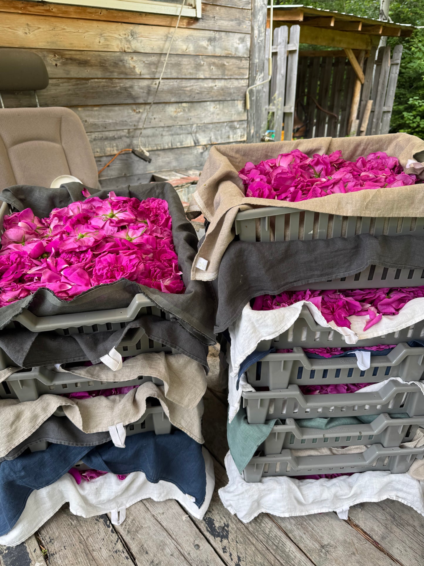 Hydrolat  Aromatique ROSE