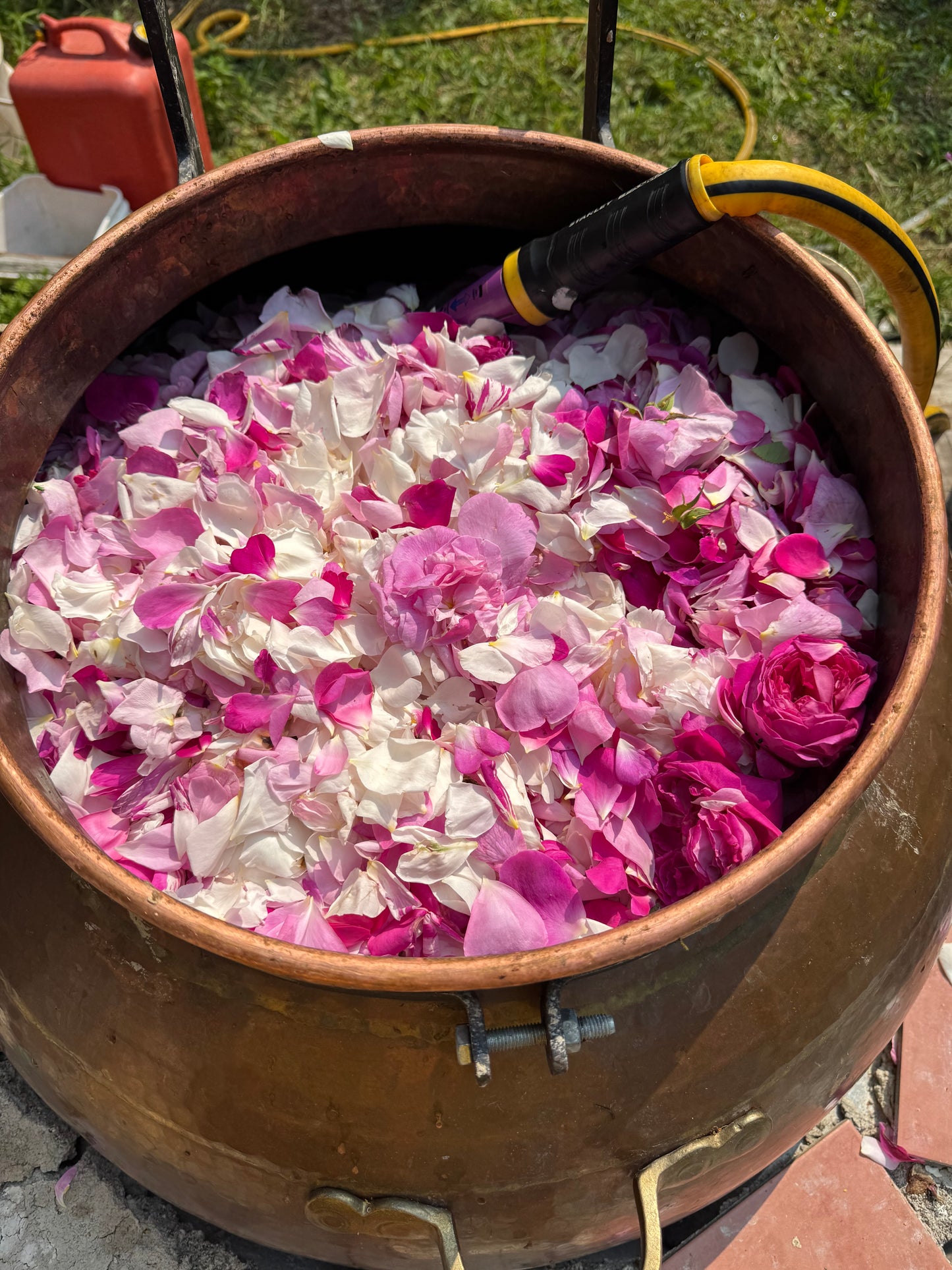Hydrolat Aromatique  : Rose d'Unité
