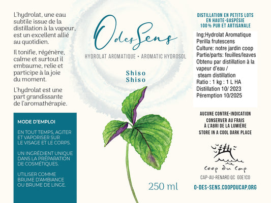 Hydrolat Aromatique SHISO