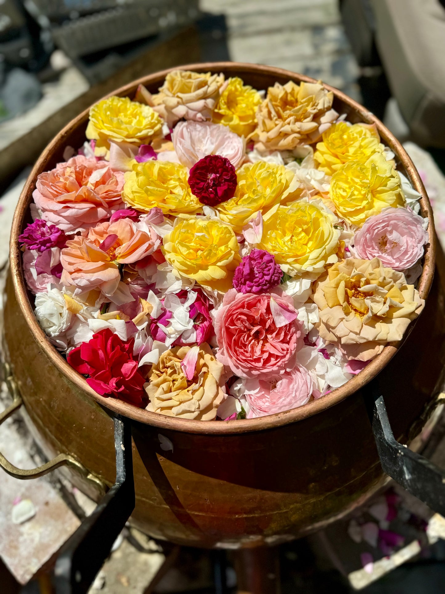 Hydrolat   ROSES ANCIENNES
