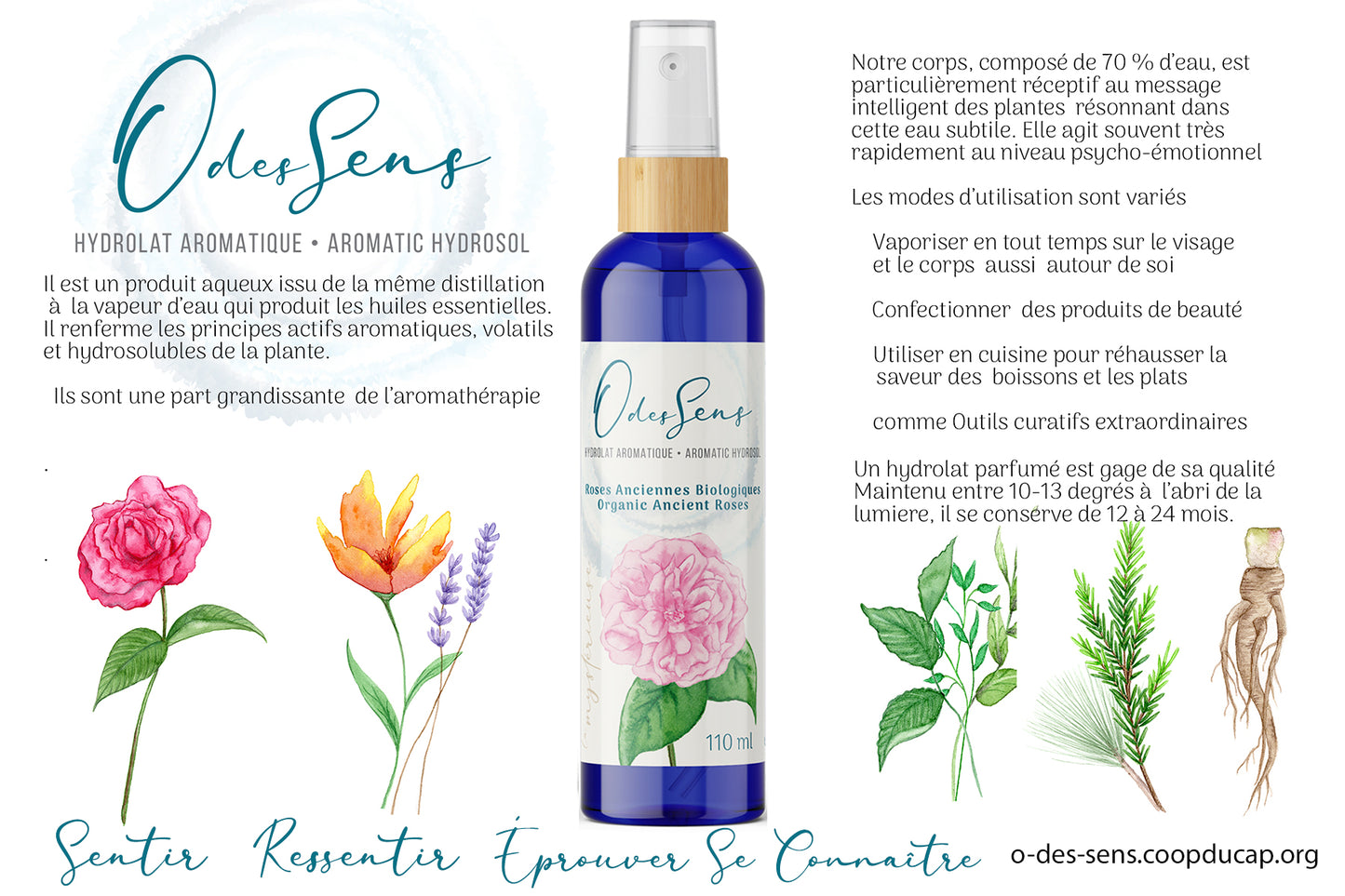 Hydrolat Aromatique ROSES ANCIENNES