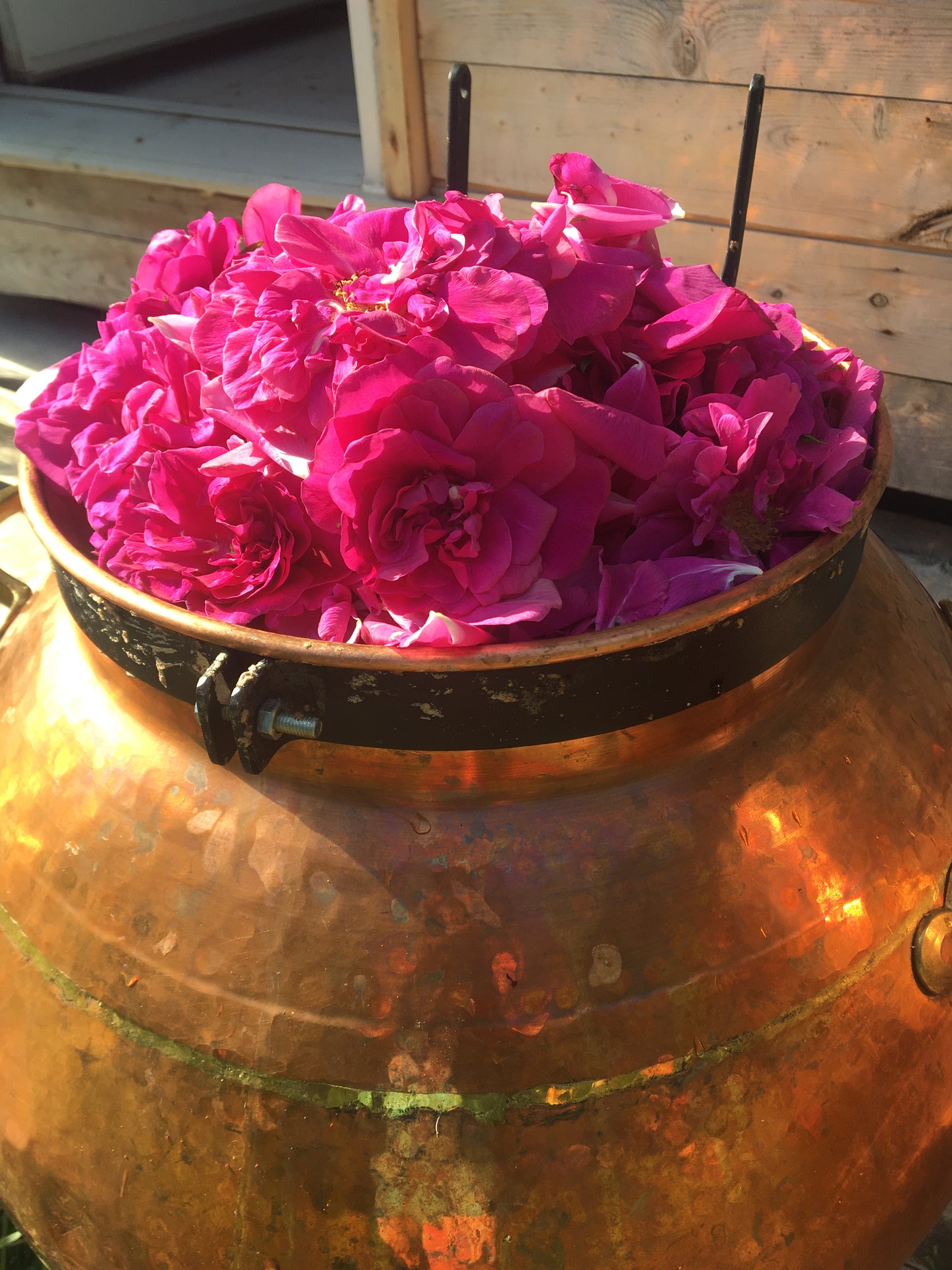 Hydrolat  Aromatique ROSE