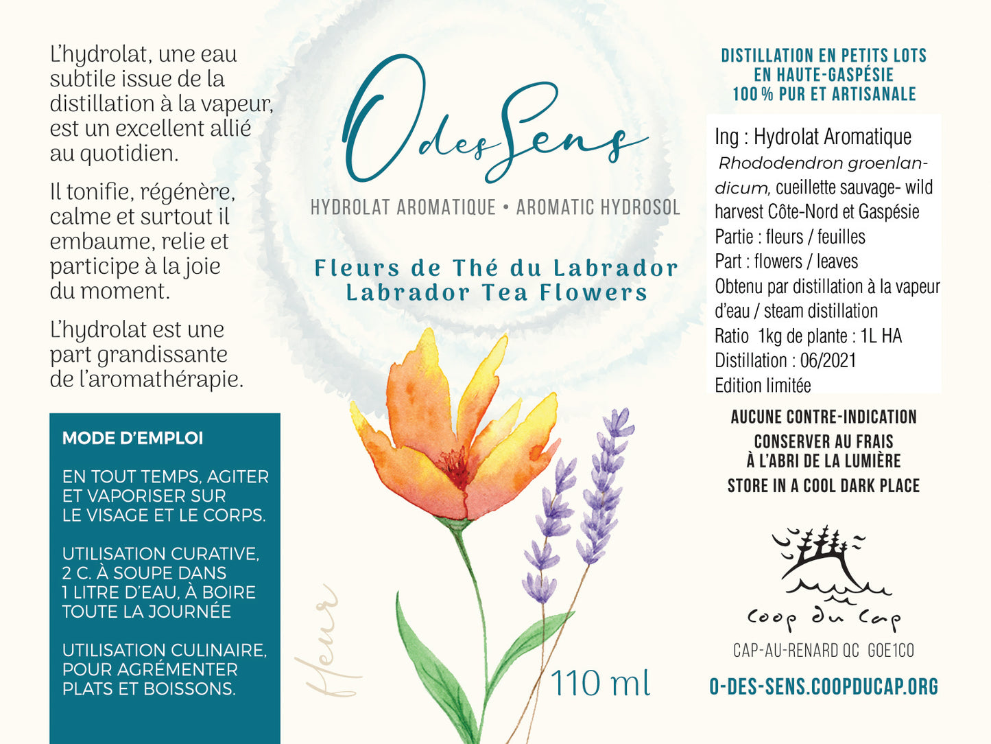 Hydrolat Aromatique Fleurs THÉ DU LABRADOR