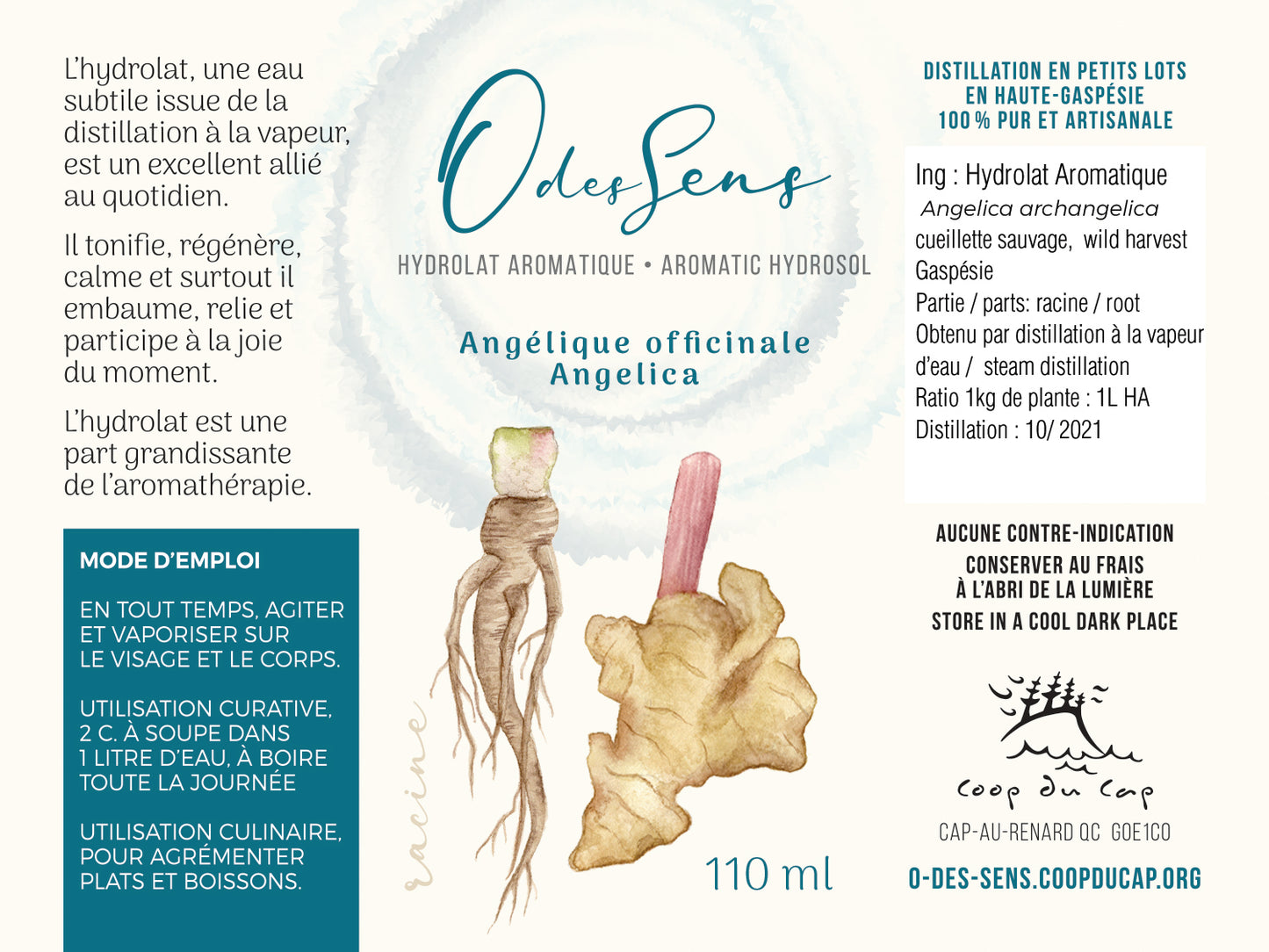 Hydrolat Aromatique ANGÉLIQUE officinale -racine